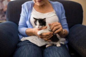 Victoria, TX Pet and Owner Volunteer Opportunity